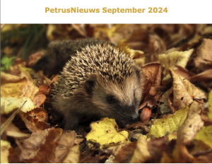 Nieuwsbrief september 2024